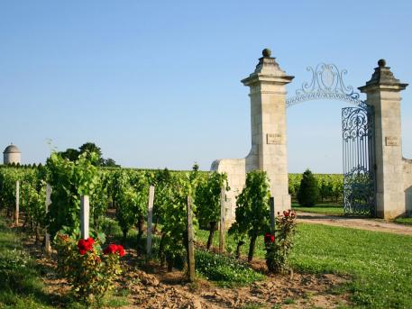 Les Châteaux et Domaines viticoles de Gironde