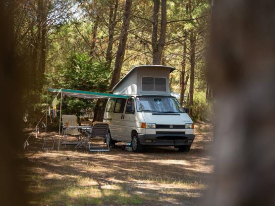 BASIC : Parcela autocaravana / Caravana (-5m)