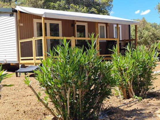 Mobilhome COTTAGE 6 - 31m²  - AZUR RANGE
