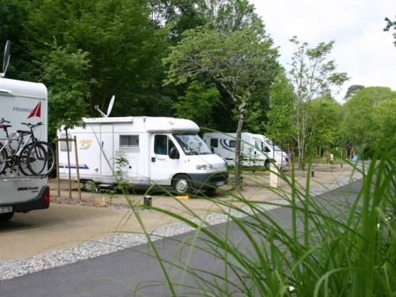 Paquete ACSI Autocaravana + electricidad + 1 perro