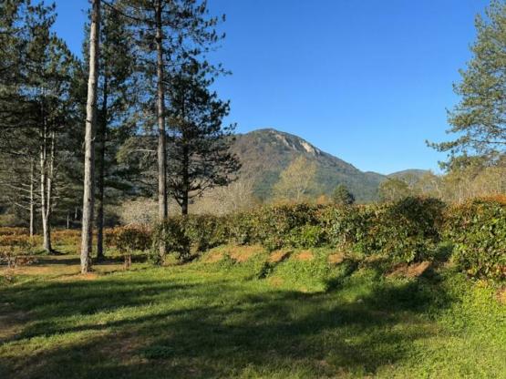 Parcela Confort - electricidad 10A + agua + 120m²