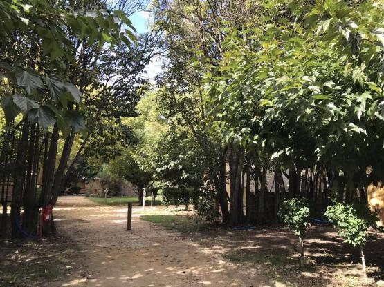 Parcela + 1 coche + tienda, caravana o autocaravana + electricidad 10A