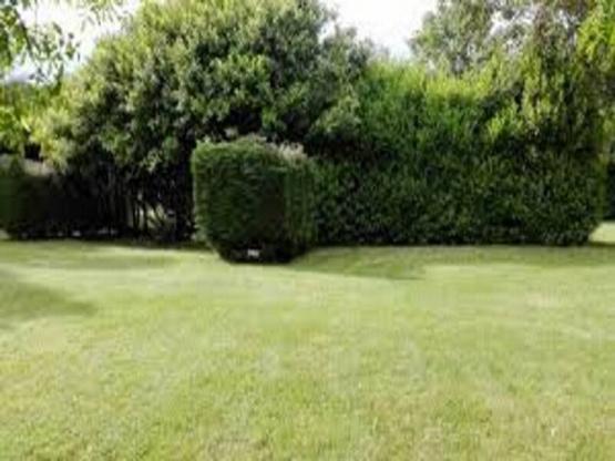 Parcela : 1 coche + tienda, caravana o autocaravana