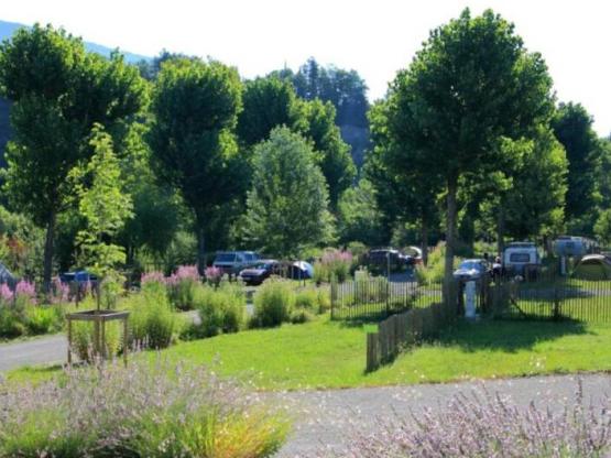 Parcela : 1 coche + tienda, caravana o autocaravana