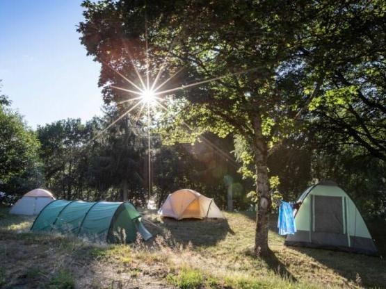 Emplacement : tente + électricité (pas d'accès voiture)