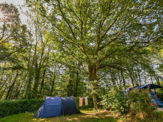 Parcela Especial excursionista andando o ciclista con tienda