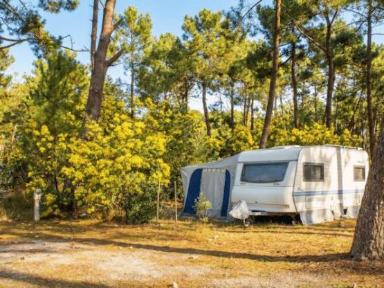 CLASSIC : Parcela autocaravana / Caravana (5 à 6.50m)