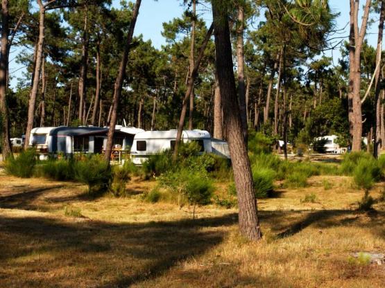 INFINI : Parcela autocaravana / Caravana (9m et +)