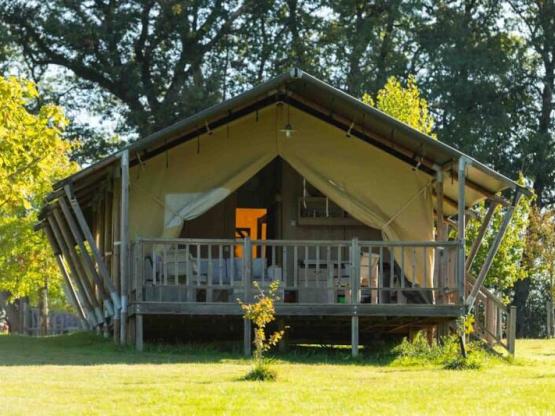 Tienda Glamping Safari