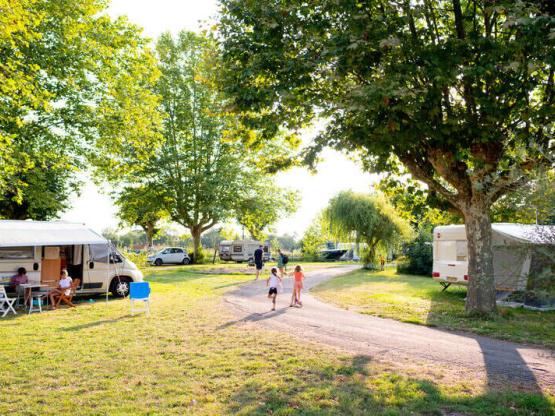 Premium Campsite Pitch