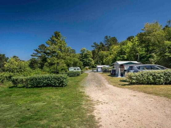 Parcela con electricidad