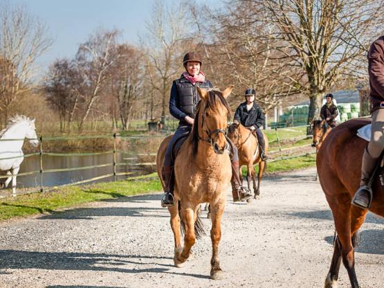 Noche en una Roulotte y paseo a caballo