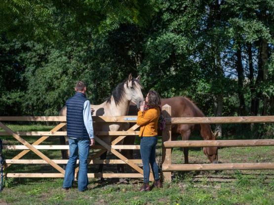 Goutte d'Ô  + Equitación