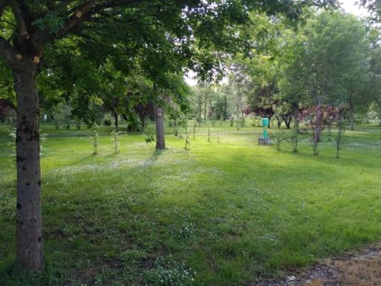 Parcela + vehículo + electricidad