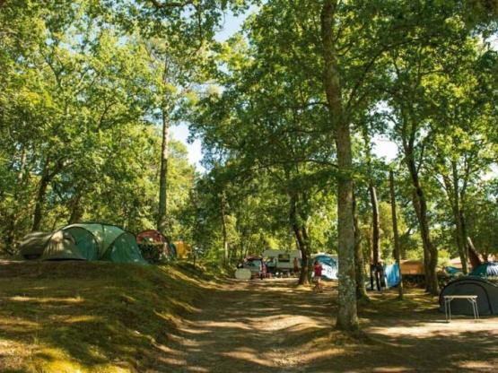 Parcela sin electricidad + 1 coche + 1 tienda o caravana -