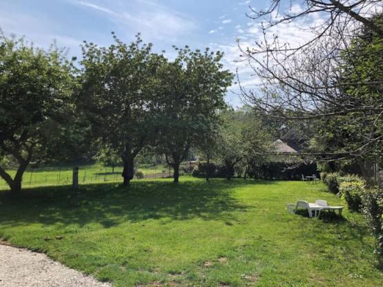 Parcela + tienda + electricidad