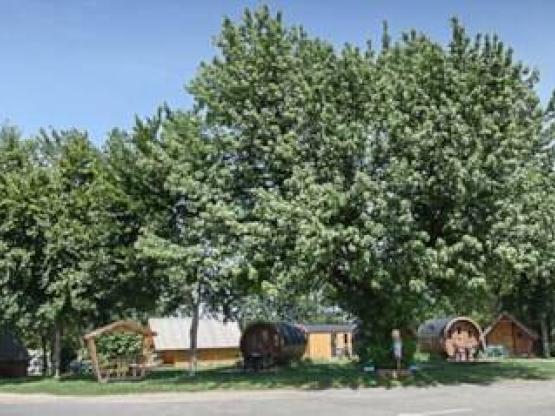 Parcela Especial excursionista andando o ciclista con tienda