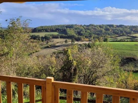 Chalet Premium 30m² (2 slaapkamers) + overdekt terras 12m² + TV + A/C