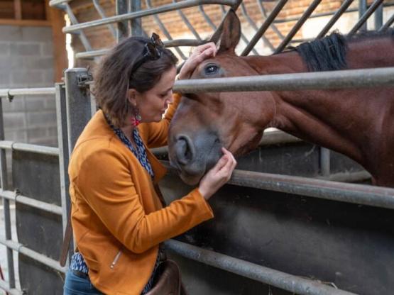 Vacaciones ecuestres y pernoctación en una casa sobre el agua - ¡Todos los niveles de 6 a 99 años!