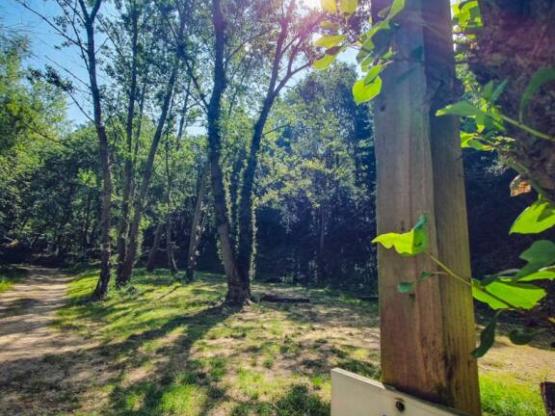 Paquete parcela 1 tienda (7x3m máx.) (precio basado en 2 personas) Con electricidad.