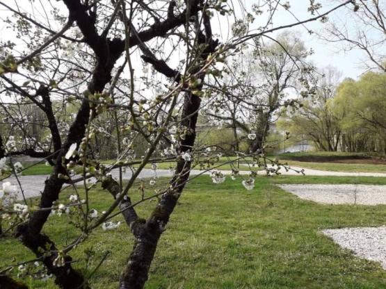 Double-axle caravan pitch 1 pers