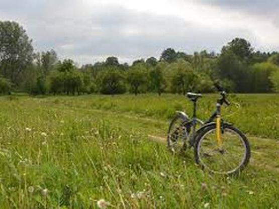 Parcela (bicicletas)