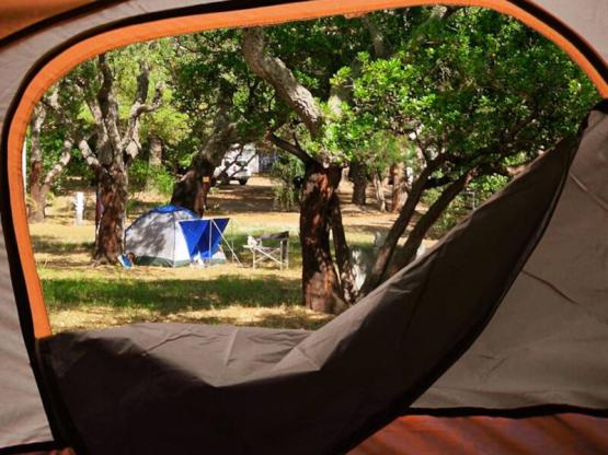 Parcela para tienda iglú -