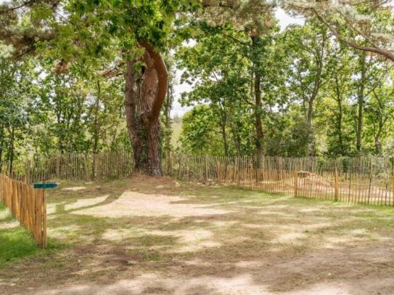 Parcela Nature (1 tienda, caravana, autocaravana / 1 coche)