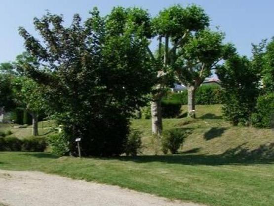 Parcela de camping 1 persona