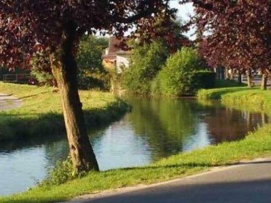 Parcela autocaravana o caravana + electricidad -