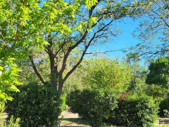 Paquete GRAND CONFORT (1 tienda + 1 coche ) - electricidad incluida 16A -