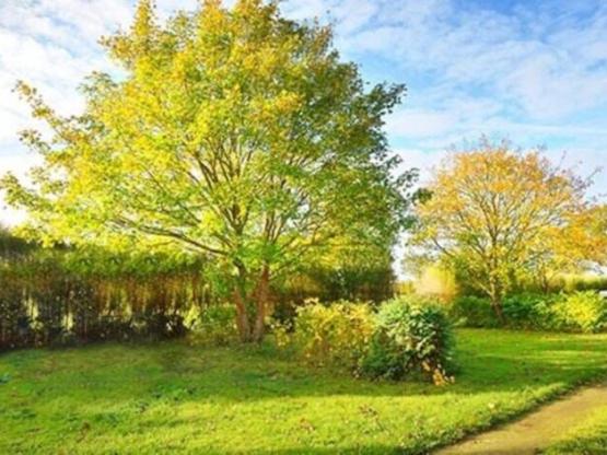 Emplacement Confort - 120 m²