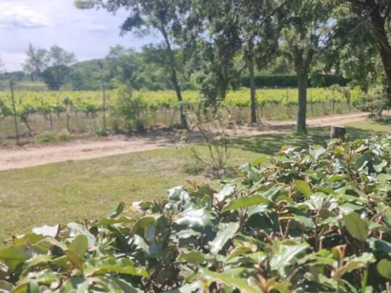 Paquete : 1 Parcela + 1 coche o autocaravana