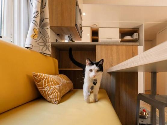 Casa Móvil RESASOL 8P - Se admiten mascotas