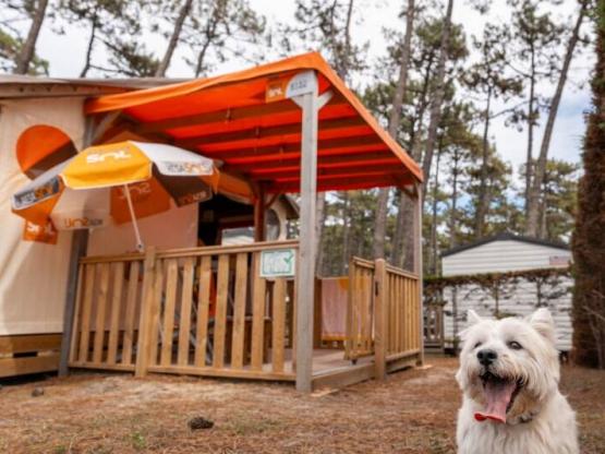 Tente RESASOL 4/5P - Animaux admis