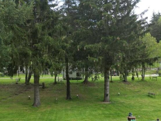 Forfait Confort : Emplacement + voiture + tente / caravane / camping-car (21.22.23.24.25.27.28.29)