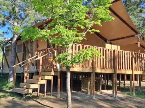 Tente Wood Prestige Plus 5 pers 2 habitaciones 1 baño 38m²
