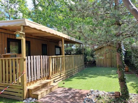 *** NEW 2025*** BUDDLEIA - 38 m² - 3 bedrooms and 2 bathrooms with covered terrace - N°19