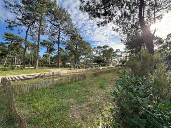 Parcela compartida 2 bicicletas/Peatón + tienda