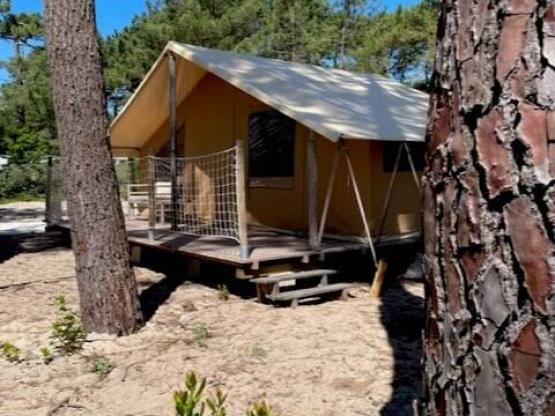 Lodge sin baño -  Barrio peatonal