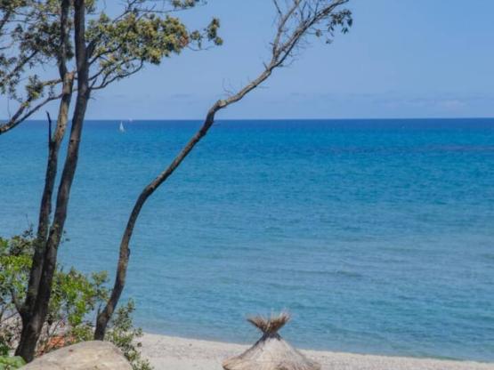 Parcela  1ª línea de mar: 1 coche + tienda, caravana o autocaravana