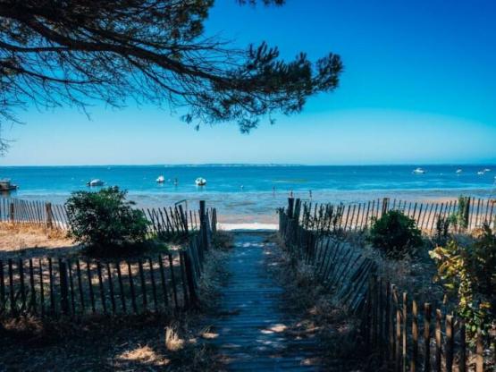 Parcela  vista al estanque