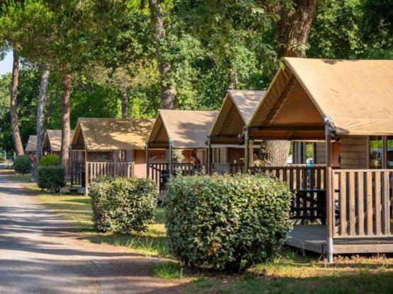 Tienda Lodge 2 habitaciones - vista al estanque