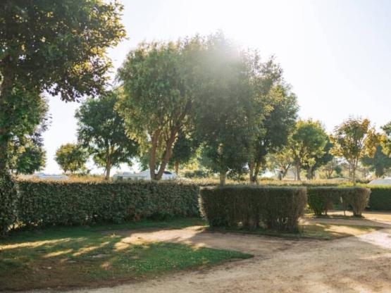 Emplacement stabilisé 2 personnes Electricité