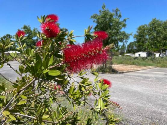 FORFAIT RANDO - 1 pers à pied ou en vélo, sans électricité