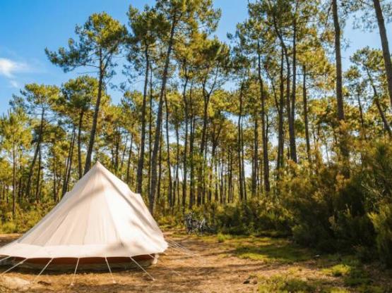 GRAND SAFARI : Emplacement Grande Tente + électricité