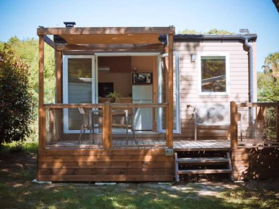 SUNÊLIA PRESTIGE ORANGER - Nouveauté 2026