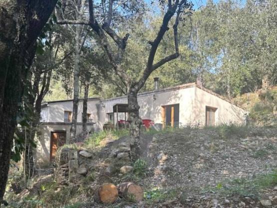 Maison 3 chambres - calme et ombrage