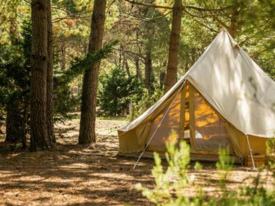 GRAN CAMPAMENTO: Parcela para tienda de campaña
