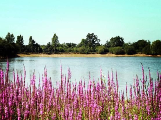 Mobil-home Otello Solo Premium